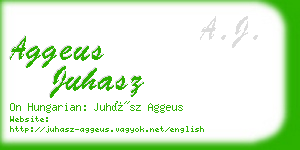 aggeus juhasz business card